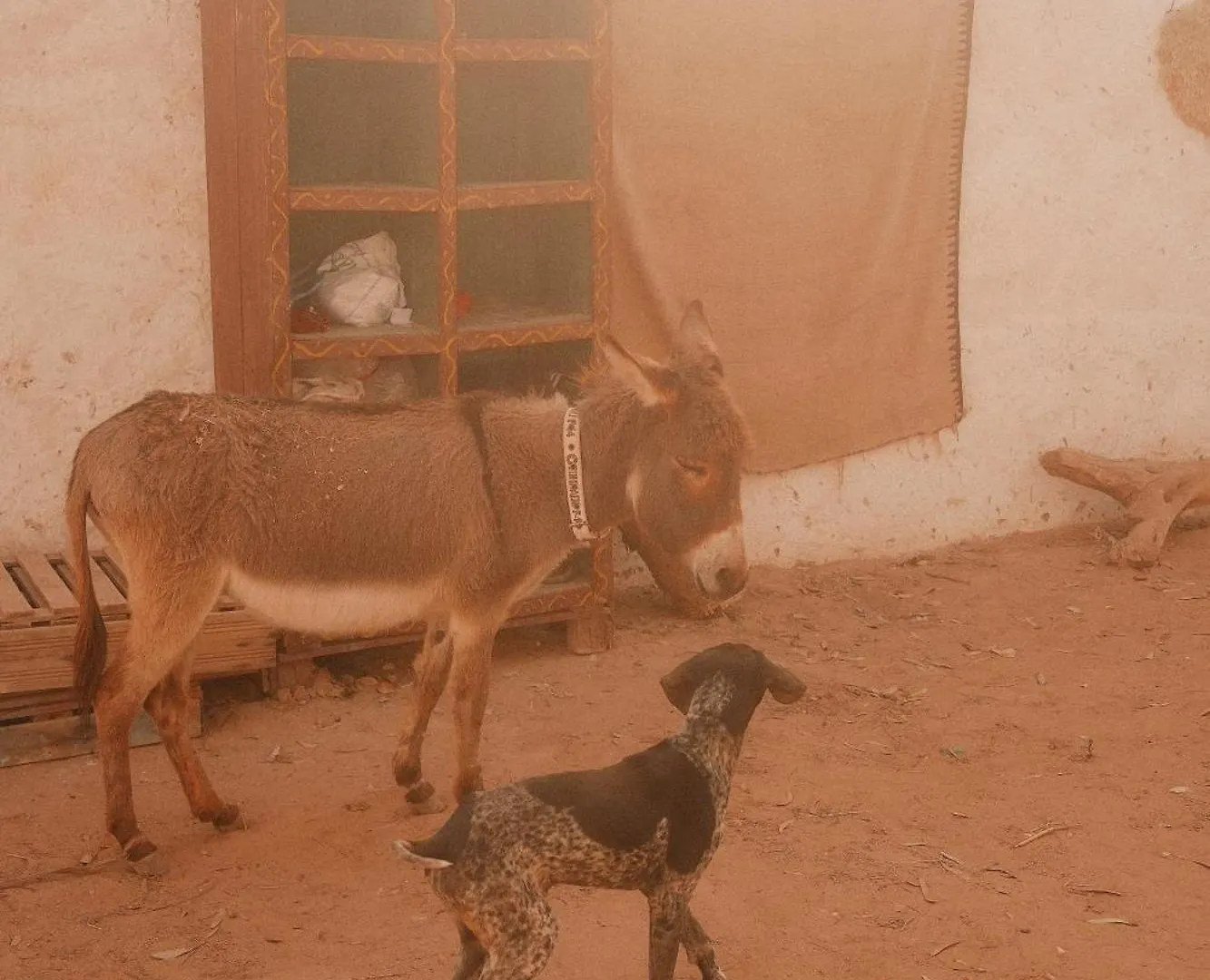 Villa L'Experience Berbere à Agadir