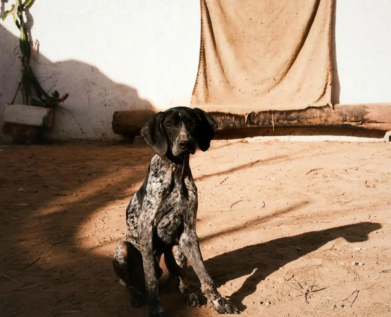 Villa L'Experience Berbere à Agadir Maroc